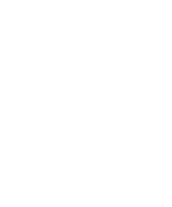 ParrotsssStudio